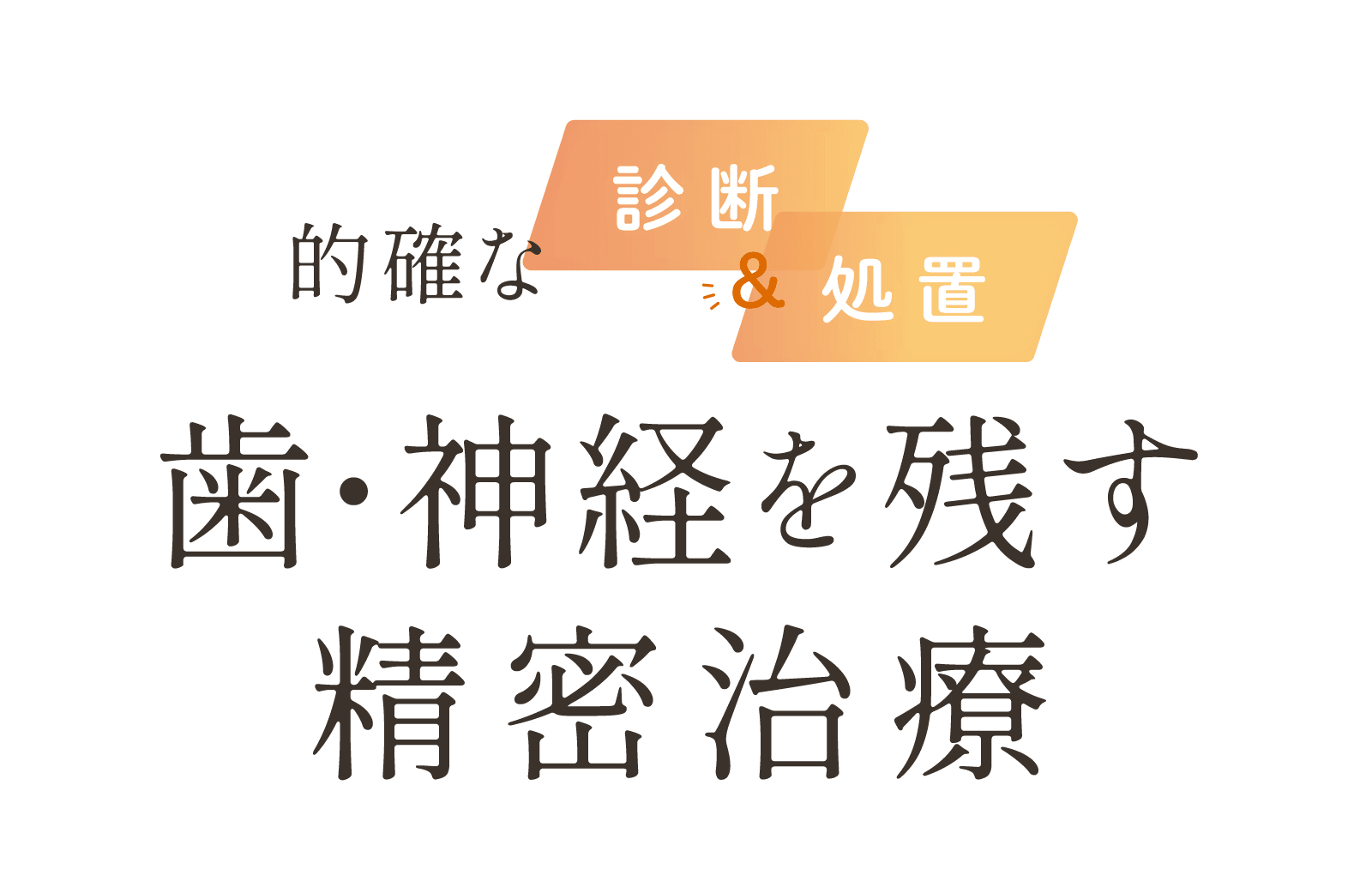 的確な診断&処置 歯・神経を残す精密治療