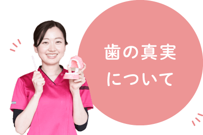 歯の真実について